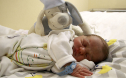 Tóth Sára Éda, Csorna