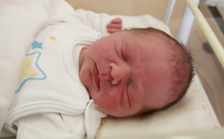 Erdős Zétény Hunor, Dunakiliti