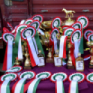 10.  Sajtos-Réti fogathajtó verseny 