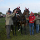 10.  Sajtos-Réti fogathajtó verseny 