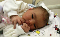 Jámbor Amina Zoé, Mosonmagyaróvár