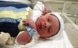 Lengyel Ármin, Hegyeshalom