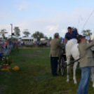 10.  Sajtos-Réti fogathajtó verseny 