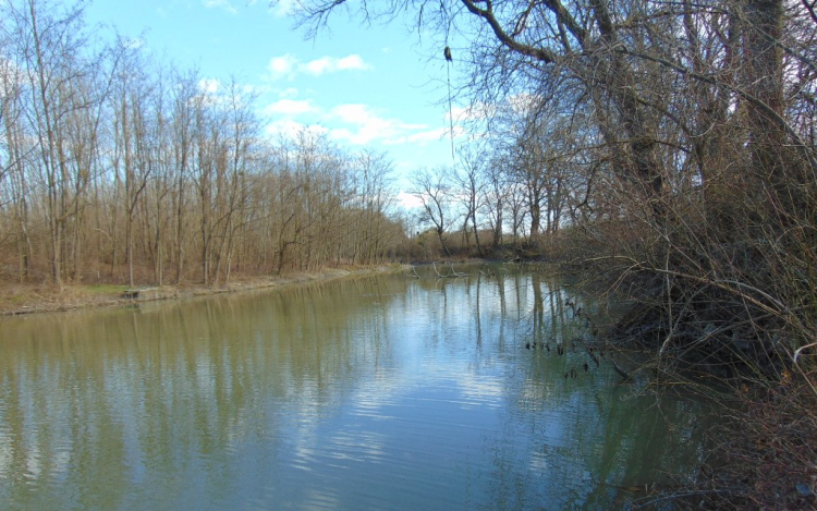 Útszéli vadon - Kalandozások a Szigetközben 5. rész