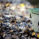 Bánhegyi Photography - Szigetköz képekben