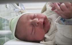 Demjén Etet Vajk, Jánossomorja