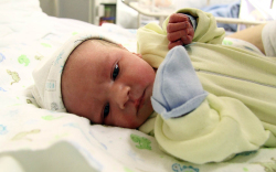 Schneider Botond, Rajka