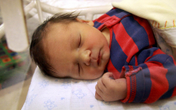 Kovács Martin, Jánossomorja