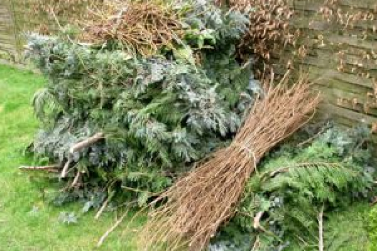 Zöldhulladék-gyűjtés Máriakálnokon