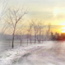 Scháling Anita Fotóalbuma