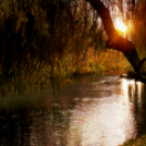 Scháling Anita Fotóalbuma