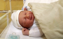 Rákász Dominik, Mosonmagyaróvár