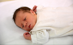 Kovacsics Noé, Darnózseli