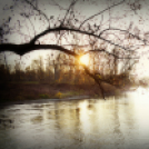 Scháling Anita Fotóalbuma