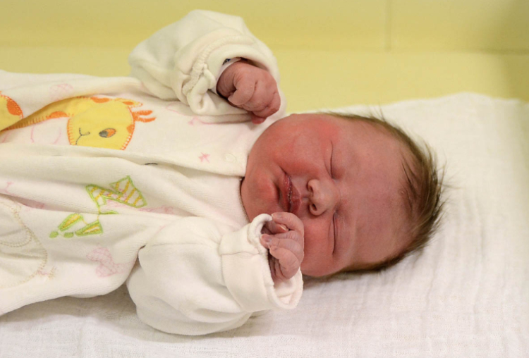 Kampf Elizabet, Mosonmagyaróvár