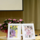 XII. Európai Méhnyakrák Megelőzési Hét, Lébény városban 