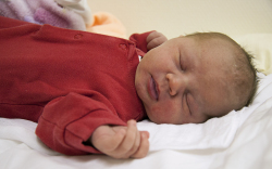 Samu Laura, Jánossomorja