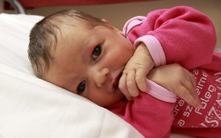 Karmazsin Lili, Csorna