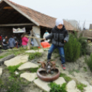 I. Szigetközi Vásár