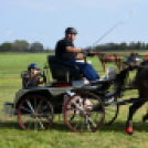 10.  Sajtos-Réti fogathajtó verseny 