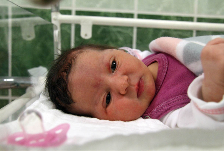 Schmidt Rozina, Mosonmagyaróvár