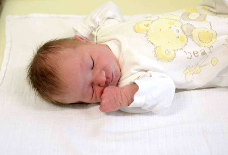 Horváth Hanna, Fertőendréd