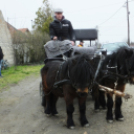 I. Szigetközi Vásár