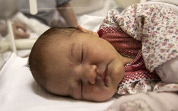 Kovács Hanna, Halászi