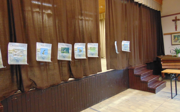 Madárbarátság Bezenyén