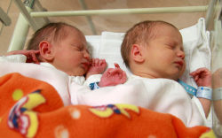 Oláh Vivien, Oláh Lilla, Bábolna