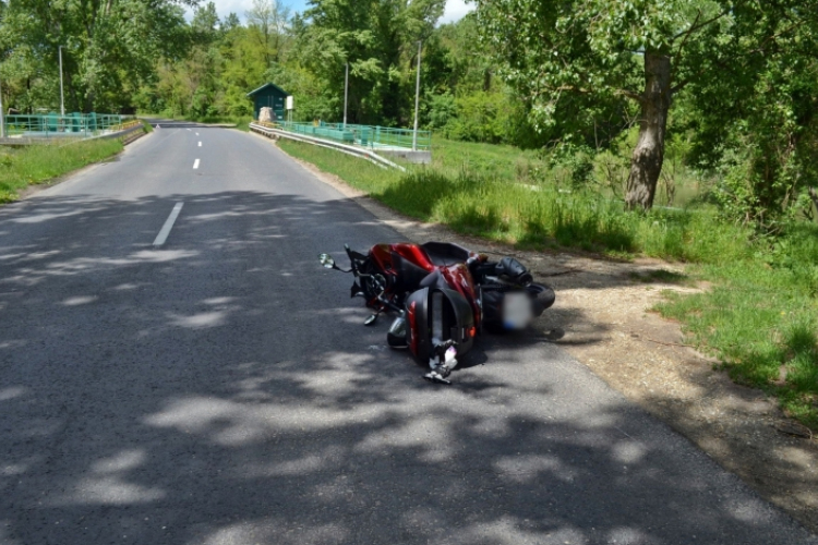 Vaddal ütközött a motoros