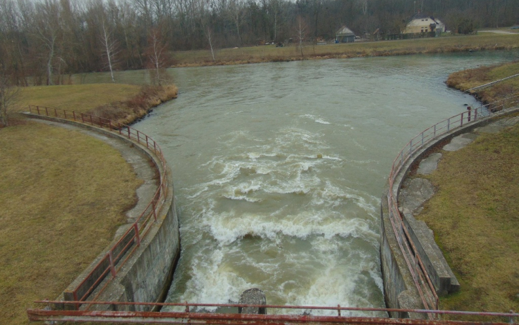 Séta a Jónási -ág környékén - Kalandozások a Szigetközben 3. rész