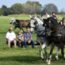 10.  Sajtos-Réti fogathajtó verseny 