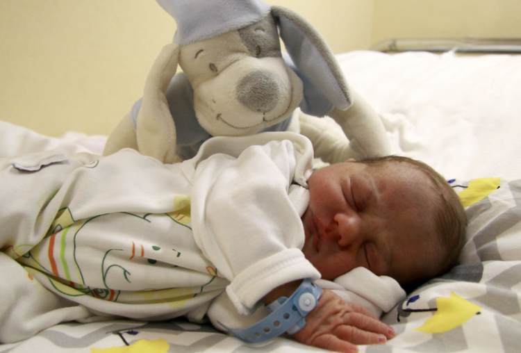 Tóth Sára Éda, Csorna