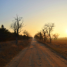 Scháling Anita Fotóalbuma