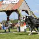 10.  Sajtos-Réti fogathajtó verseny 