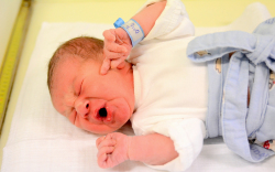 Molnár Zsolt, Hegyeshalom