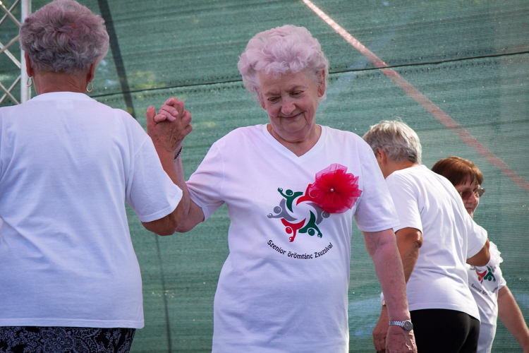 IV. Lébényi Ízőrző Nap