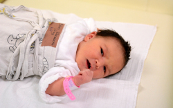 Bőhm Elizabeth Virág, Jánossomorja