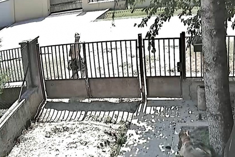 Táskát lopott, a rendőrség keresi!