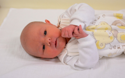 Szűcs Máté Péter, Mosonmagyaróvár