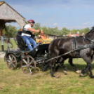 10.  Sajtos-Réti fogathajtó verseny 