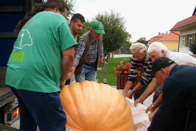  Kimlei Kertbarát Kör 10. Terménykiállítása