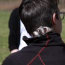 Az ország legnagyobb napóráját avatták Dunaszigeten