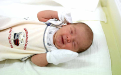 Fazekas Lana, Halászi