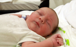 Lengyel Noel László, Feketeerdő