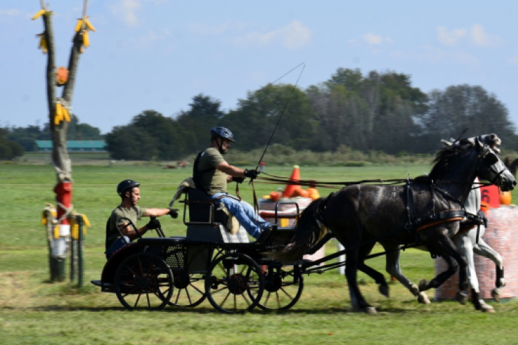 10.  Sajtos-Réti fogathajtó verseny 