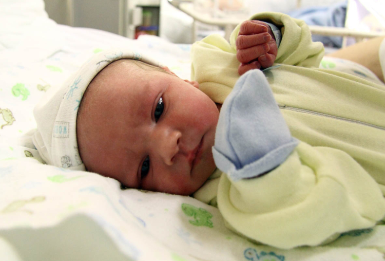 Schneider Botond, Rajka