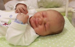 Tóth-Maklári Benett, Mosonmagyaróvár