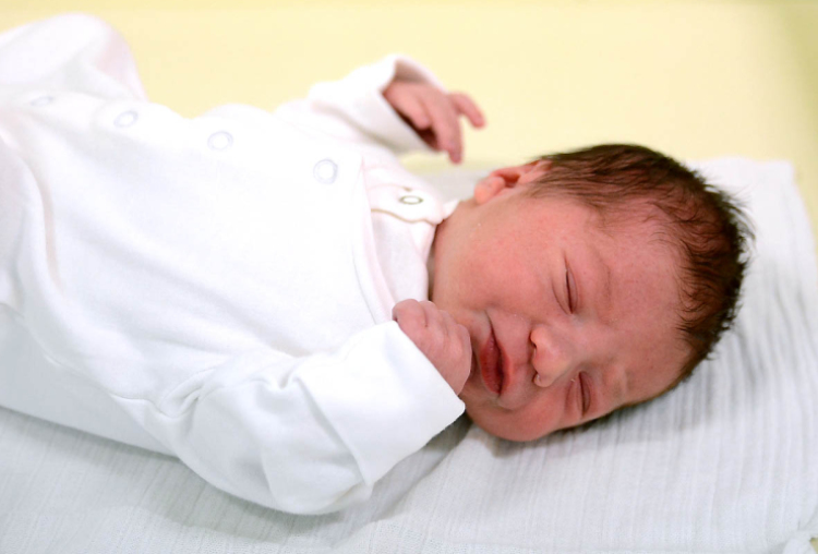 Sléber Ádám, Kapuvár